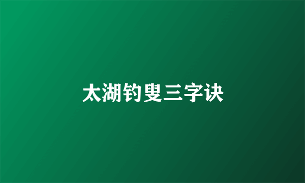 太湖钓叟三字诀