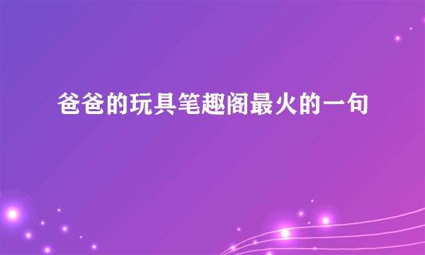 爸爸的玩具笔趣阁最火的一句