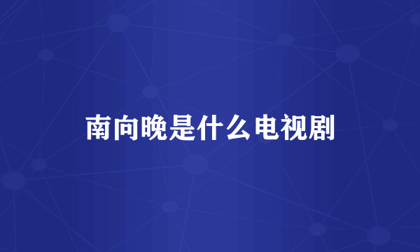 南向晚是什么电视剧