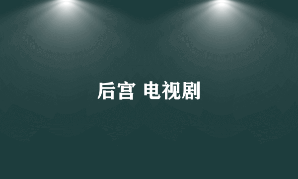 后宫 电视剧