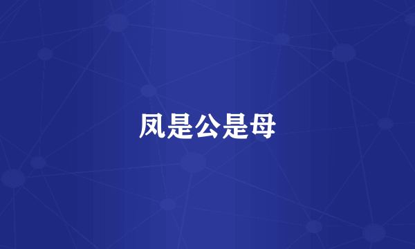 凤是公是母