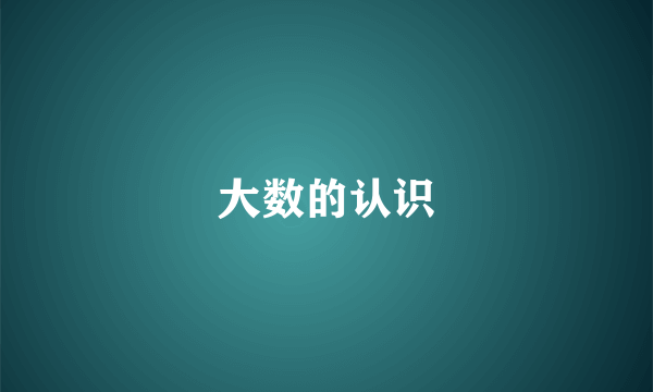 大数的认识