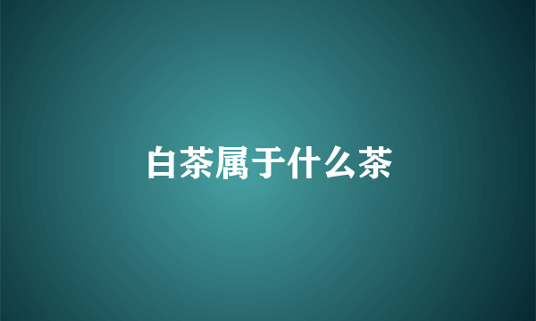 白茶属于什么茶