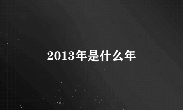 2013年是什么年