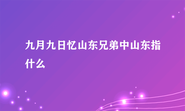 九月九日忆山东兄弟中山东指什么