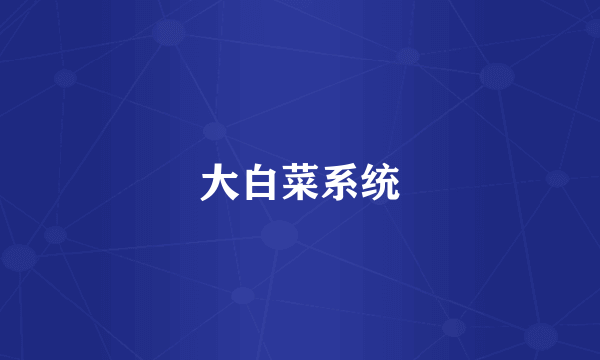 大白菜系统