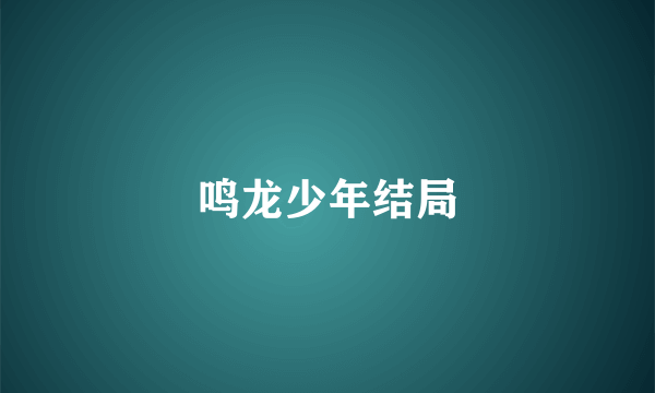 鸣龙少年结局