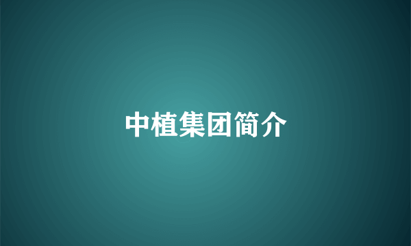 中植集团简介