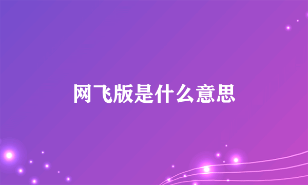 网飞版是什么意思