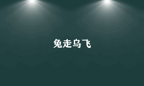 兔走乌飞