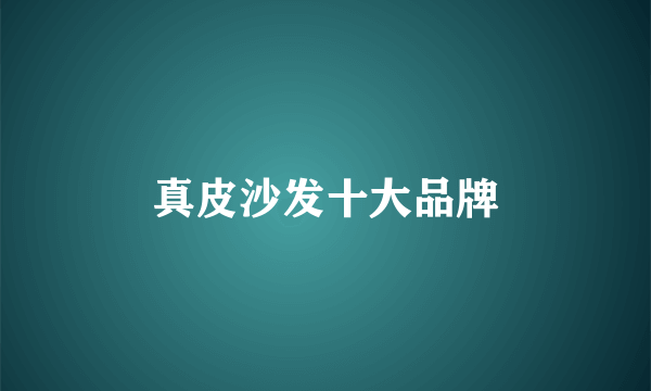 真皮沙发十大品牌