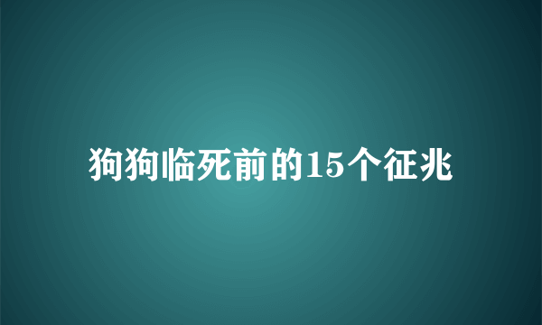 狗狗临死前的15个征兆