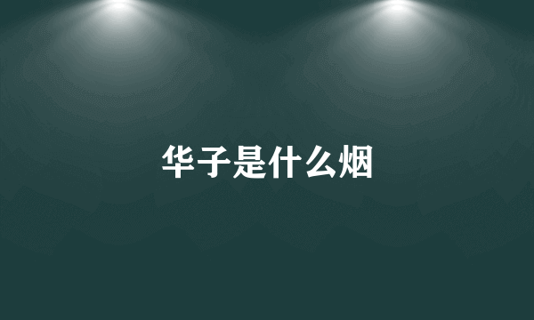 华子是什么烟