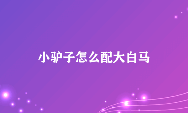 小驴子怎么配大白马