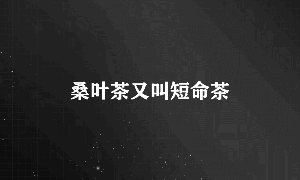桑叶茶又叫短命茶