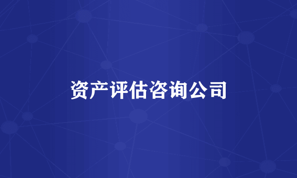 资产评估咨询公司