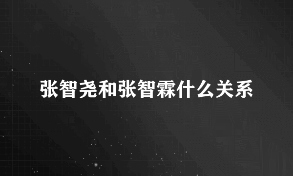 张智尧和张智霖什么关系
