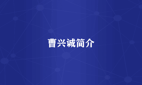 曹兴诚简介