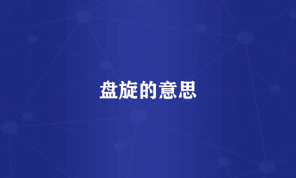 盘旋的意思