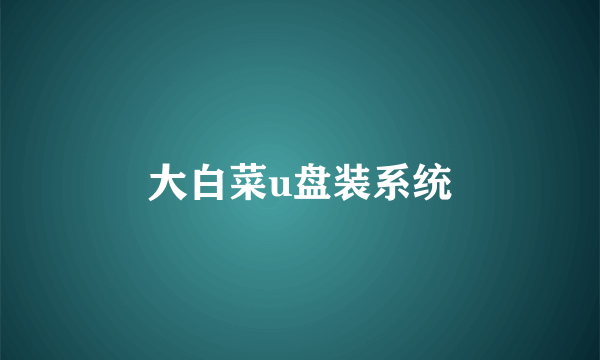 大白菜u盘装系统