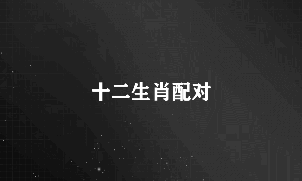 十二生肖配对