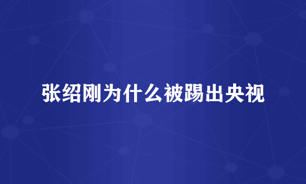 张绍刚为什么被踢出央视