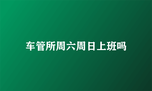 车管所周六周日上班吗