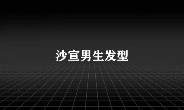 沙宣男生发型