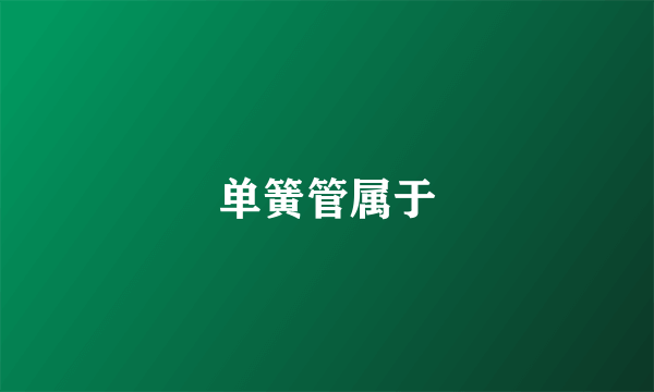 单簧管属于