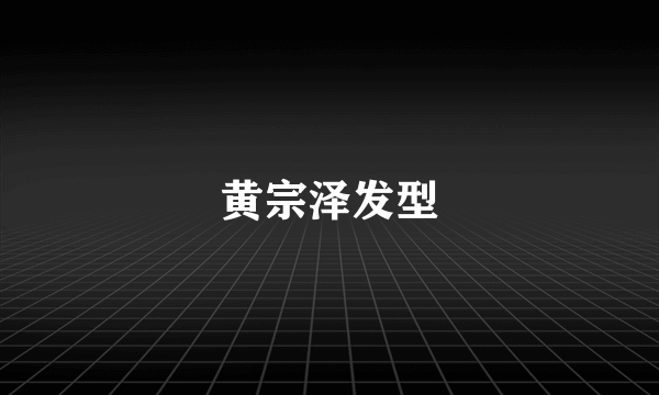 黄宗泽发型
