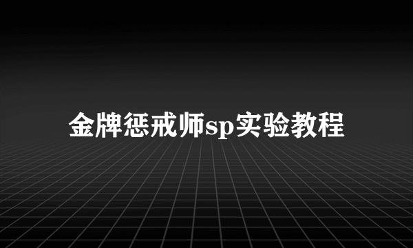 金牌惩戒师sp实验教程