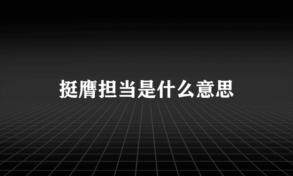 挺膺担当是什么意思