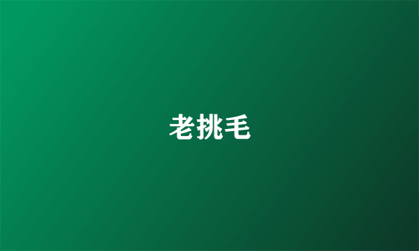 老挑毛