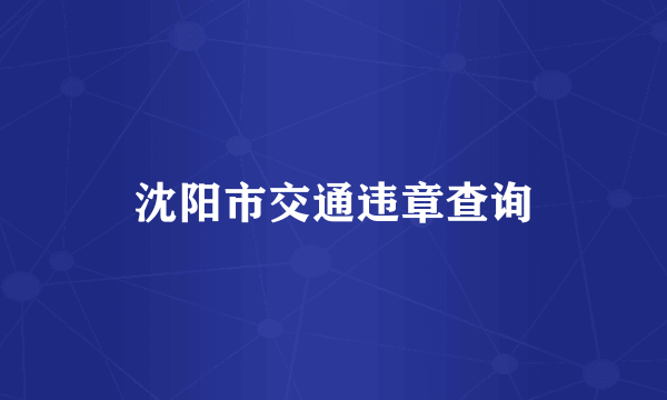 沈阳市交通违章查询