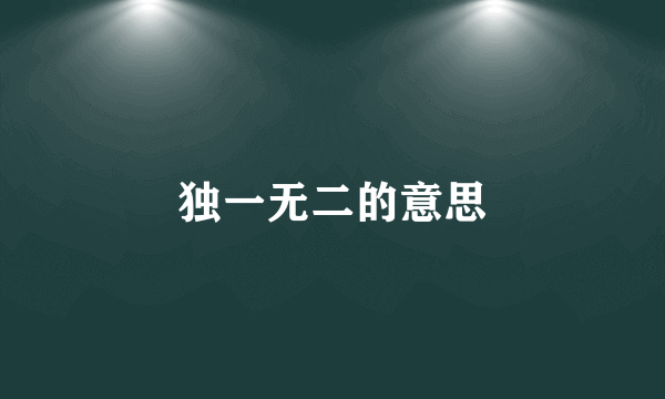 独一无二的意思