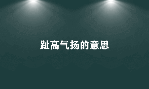 趾高气扬的意思