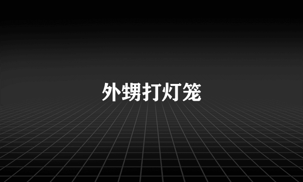 外甥打灯笼