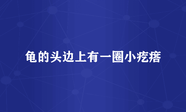 龟的头边上有一圈小疙瘩