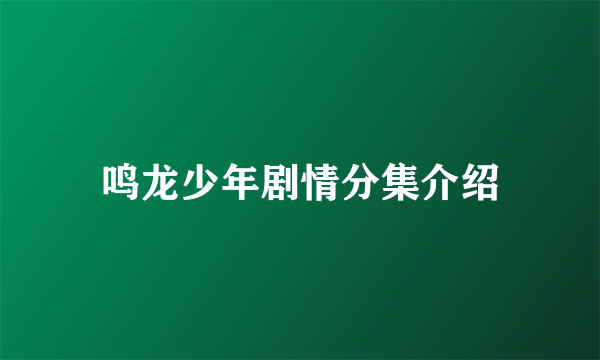 鸣龙少年剧情分集介绍