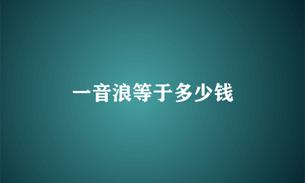 一音浪等于多少钱