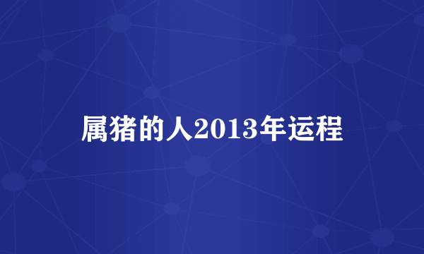 属猪的人2013年运程