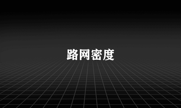 路网密度