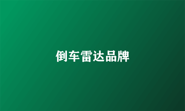 倒车雷达品牌