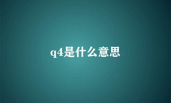 q4是什么意思