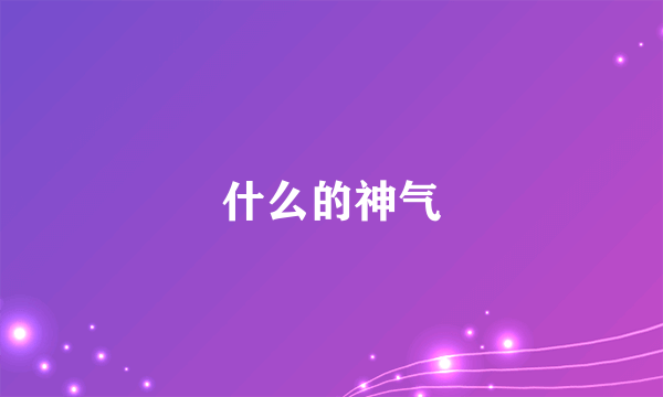 什么的神气
