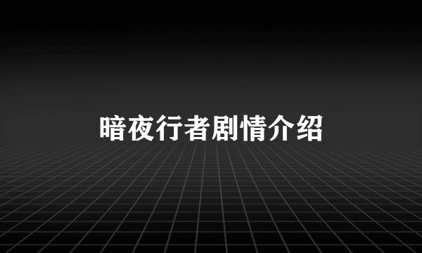 暗夜行者剧情介绍