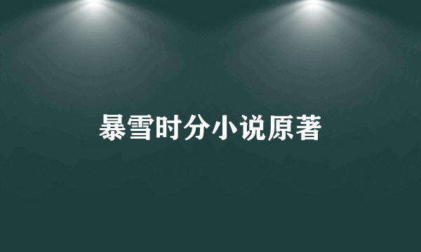 暴雪时分小说原著