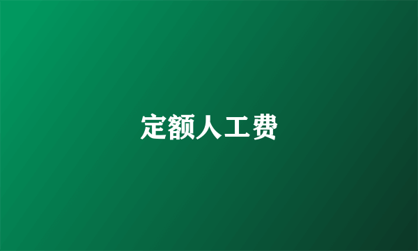 定额人工费