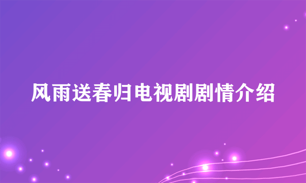 风雨送春归电视剧剧情介绍