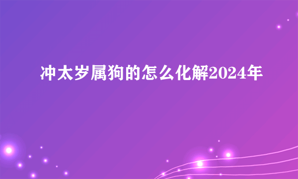 冲太岁属狗的怎么化解2024年